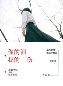 你的泪我的伤
