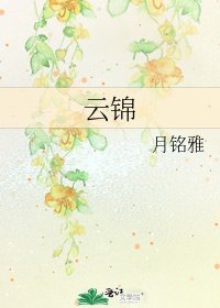 云锦